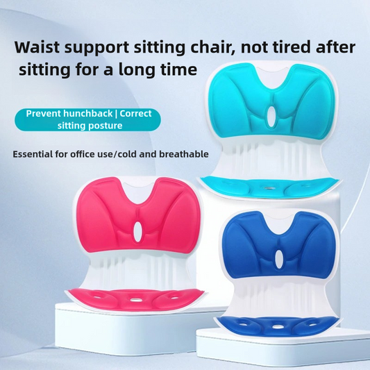 Ergonomic Lumbar Chair-CNBH003